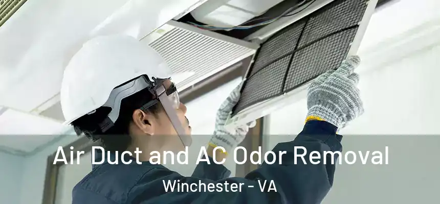 Air Duct and AC Odor Removal Winchester - VA