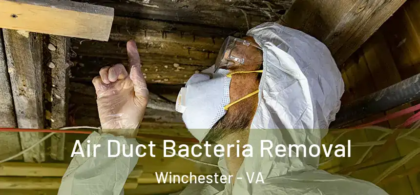  Air Duct Bacteria Removal Winchester - VA