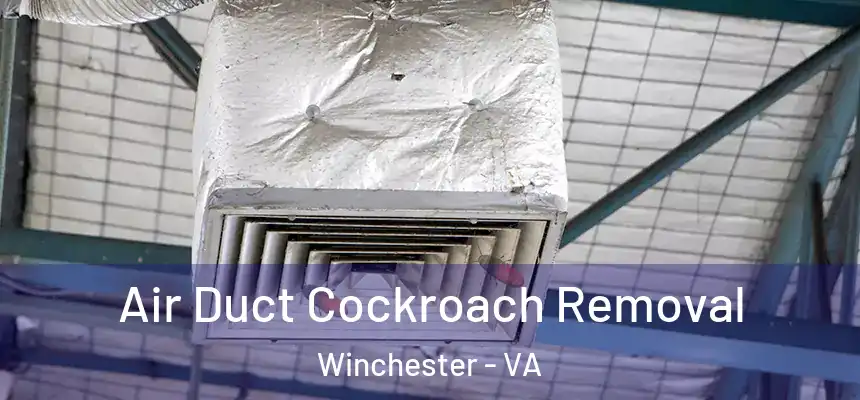  Air Duct Cockroach Removal Winchester - VA
