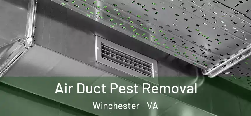  Air Duct Pest Removal Winchester - VA