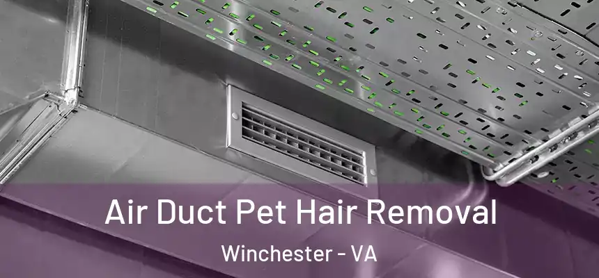 Air Duct Pet Hair Removal Winchester - VA