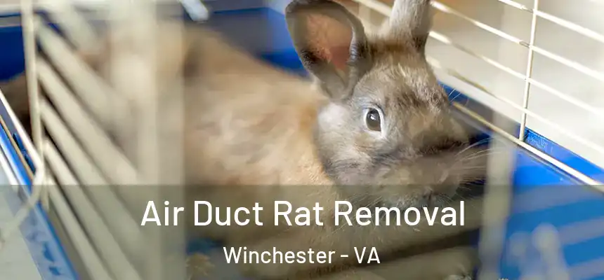 Air Duct Rat Removal Winchester - VA