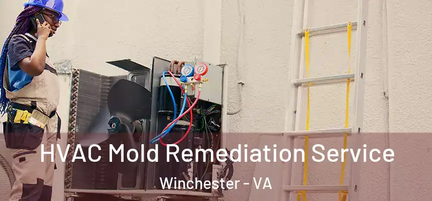 HVAC Mold Remediation Service Winchester - VA