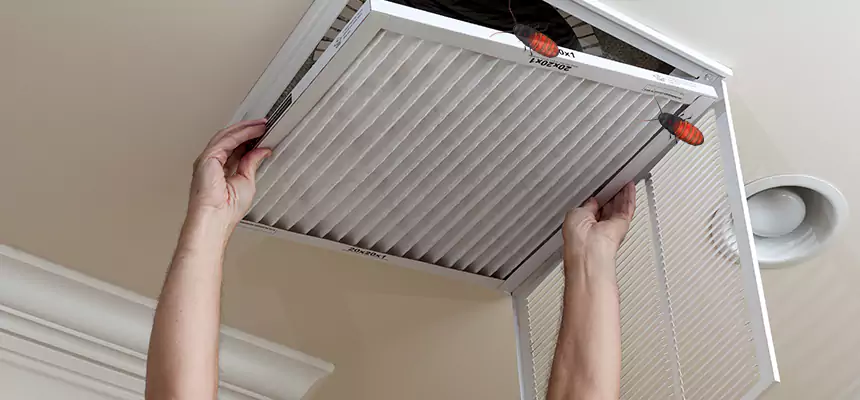 Our Insect Removal from Air Ducts Services in Winchester, VA
