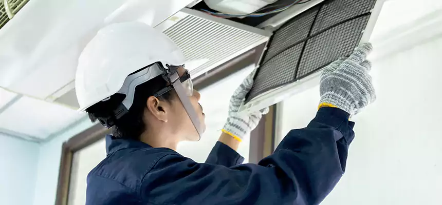 Our Mold & Mildew Removal from Air Ducts Services in Winchester, VA