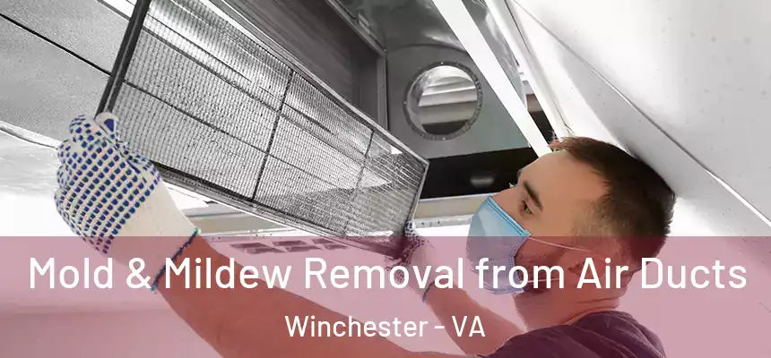  Mold & Mildew Removal from Air Ducts Winchester - VA