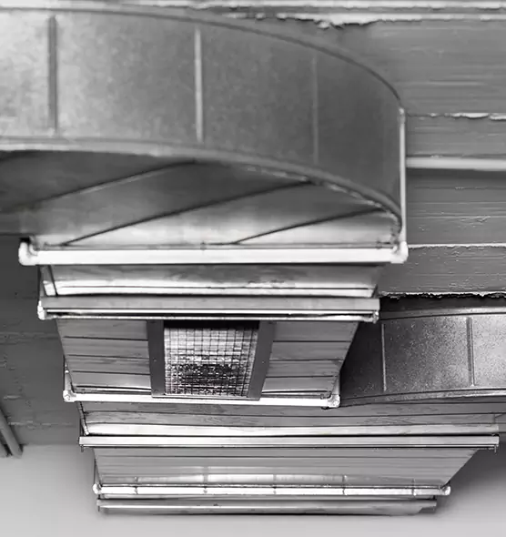 Professional Air Duct Pet Hair Removal in Winchester, VA