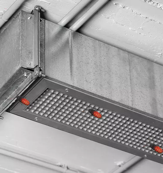 Affordable Insect Removal from Air Ducts in Winchester, VA