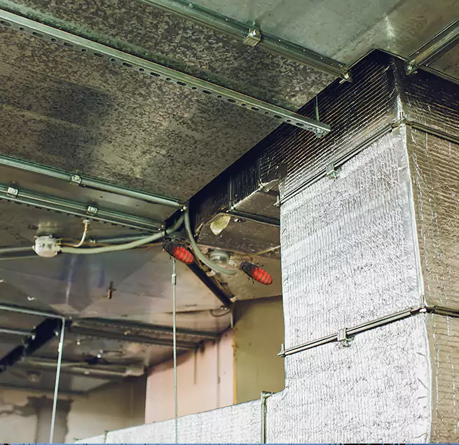 Why Homeowners & Businesses Trust Us in Winchester, VA?